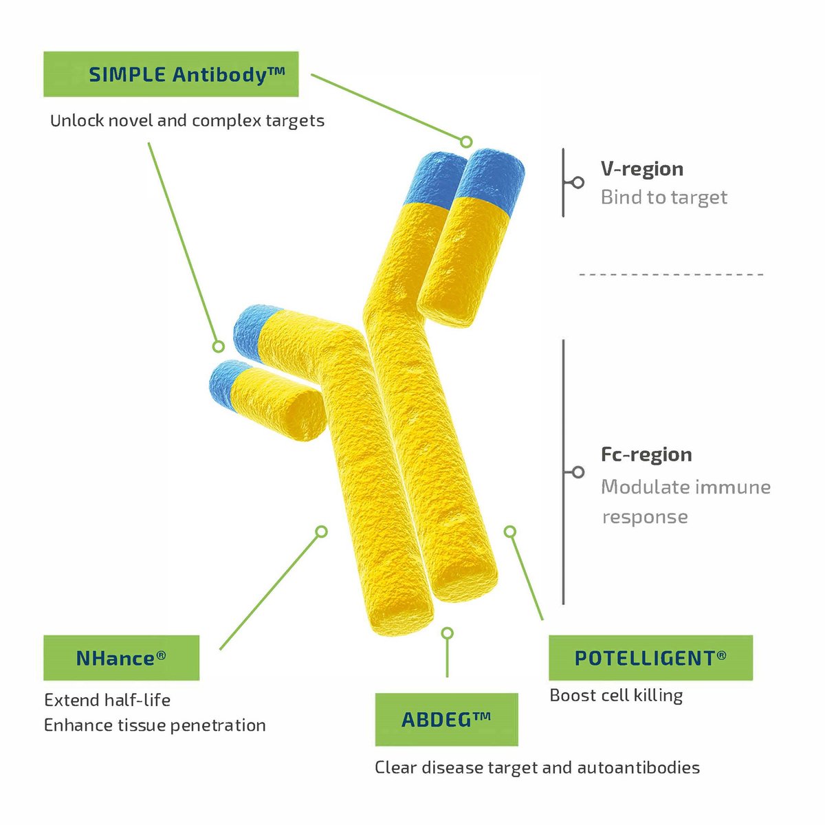 Livmoniplimab (ABBV-151) / AbbVie, Argenx