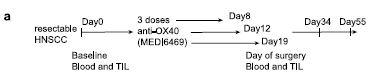 a8e865d2-6e41-4a3e-b483-afb1f66421f2.jpg
